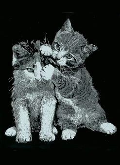 Dauerkalender Mit 6 Kratzbildern - Silber Tiere 1 13 Dauerkalender Mit 6 Kratzbildern - Silber Tiere 1 -Kinder Produkte Geschäft mammut spiel und geschenk dauerkalender mit 6 kratzbildern silber tiere 1 3