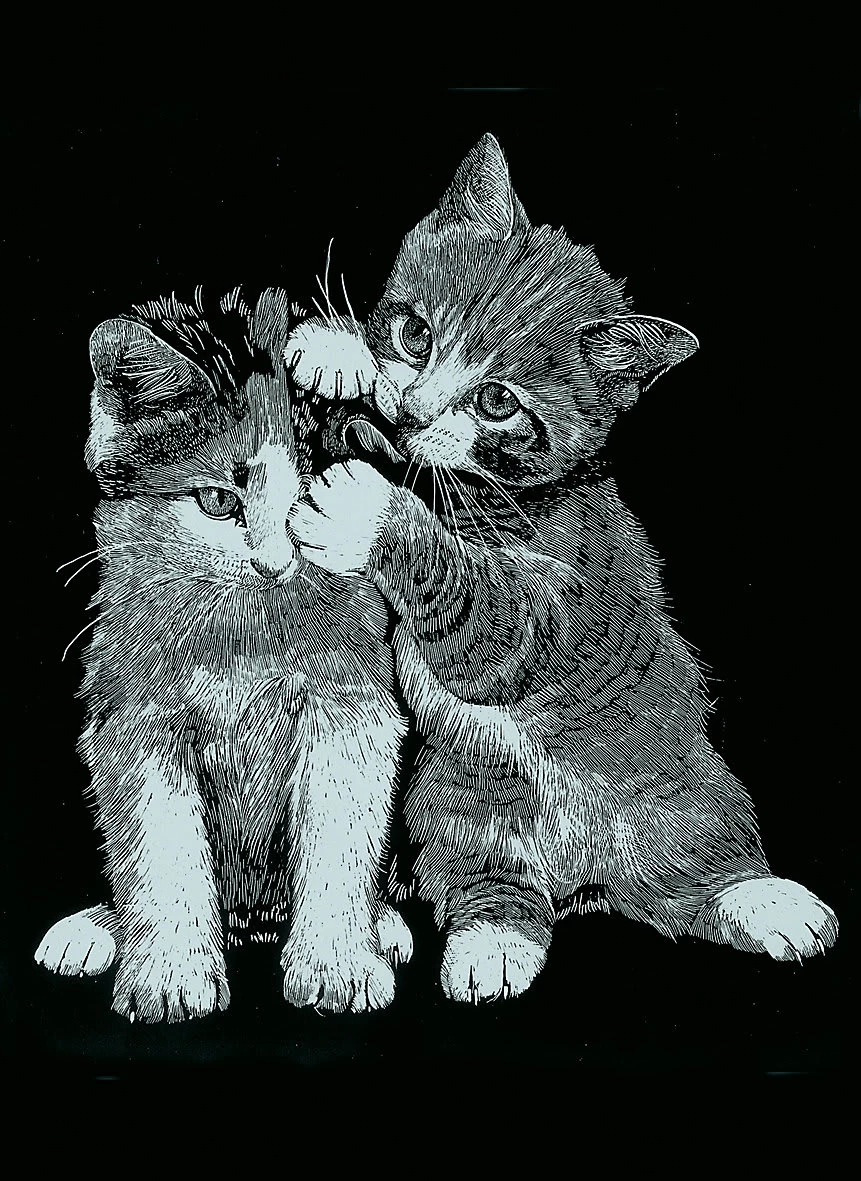 Dauerkalender Mit 6 Kratzbildern - Silber Tiere 1 6 Dauerkalender Mit 6 Kratzbildern - Silber Tiere 1 – Bild 4