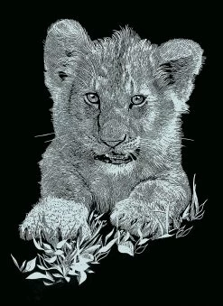 Dauerkalender Mit 6 Kratzbildern - Silber Tiere 1 14 Dauerkalender Mit 6 Kratzbildern - Silber Tiere 1 -Kinder Produkte Geschäft mammut spiel und geschenk dauerkalender mit 6 kratzbildern silber tiere 1 4