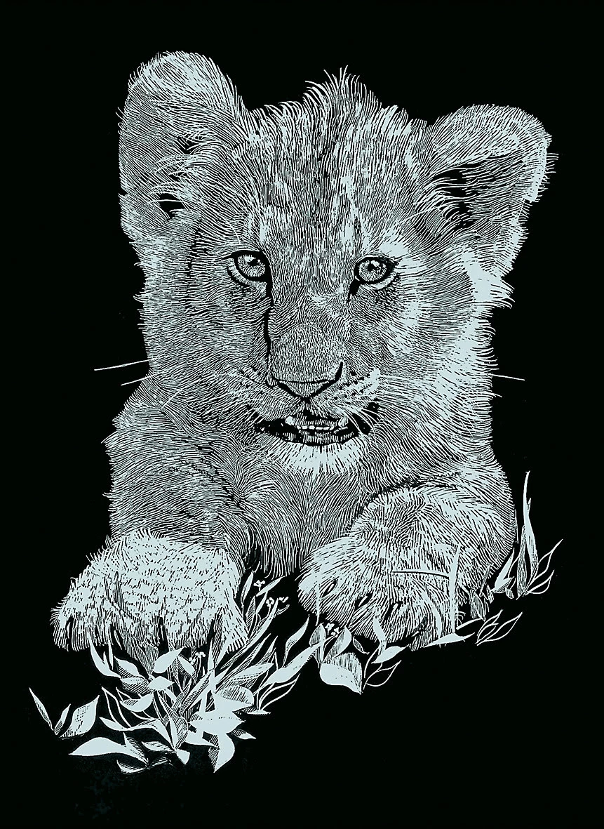 Dauerkalender Mit 6 Kratzbildern - Silber Tiere 1 7 Dauerkalender Mit 6 Kratzbildern - Silber Tiere 1 – Bild 5