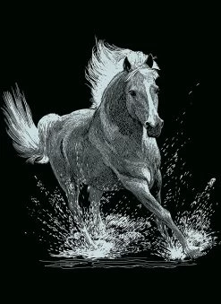 Dauerkalender Mit 6 Kratzbildern - Silber Tiere 1 15 Dauerkalender Mit 6 Kratzbildern - Silber Tiere 1 -Kinder Produkte Geschäft mammut spiel und geschenk dauerkalender mit 6 kratzbildern silber tiere 1 5