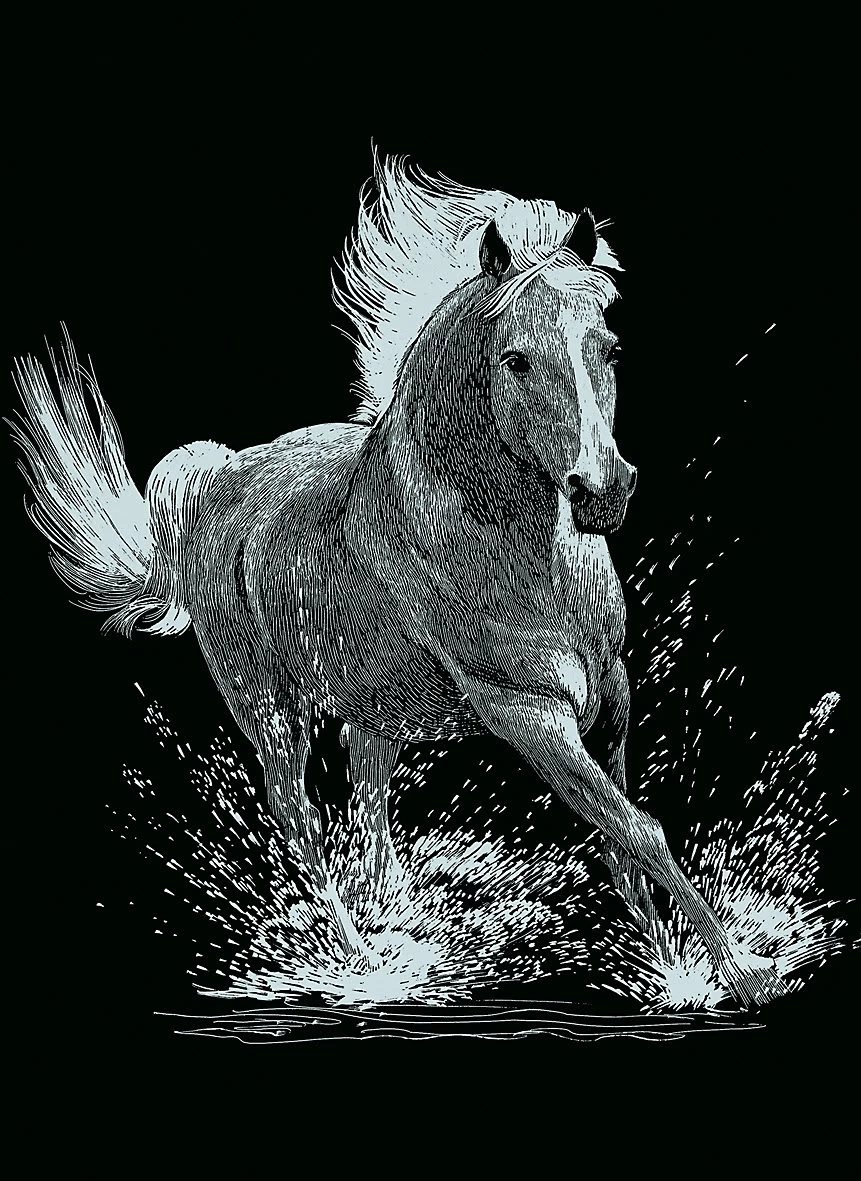 Dauerkalender Mit 6 Kratzbildern - Silber Tiere 1 8 Dauerkalender Mit 6 Kratzbildern - Silber Tiere 1 – Bild 6