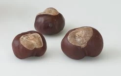 Kastanienhalter / Kastanienbohrer Bastel-Set -Kinder Produkte Geschäft pebaro kastanienhalter kastanienbohrer bastel set 5