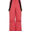 Protest Ski- Und Snowboardhose " SUNNY JR In Rusticrust 2 Protest Ski- Und Snowboardhose " SUNNY JR In Rusticrust -Kinder Produkte Geschäft protest ski und snowboardhose sunny jr in rusticrust