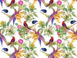 Tischsets I Platzsets "Tropische Zweige Mit Bunten Vögeln" (L)30 X (B)40
